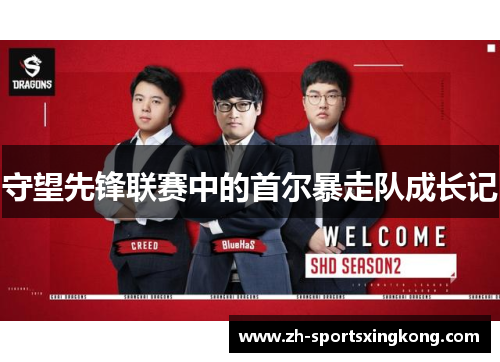 守望先锋联赛中的首尔暴走队成长记