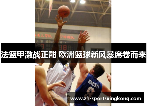 法篮甲激战正酣 欧洲篮球新风暴席卷而来
