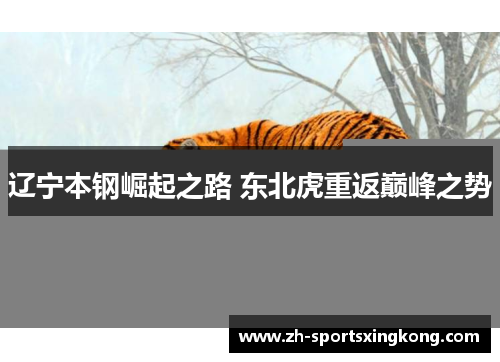 辽宁本钢崛起之路 东北虎重返巅峰之势