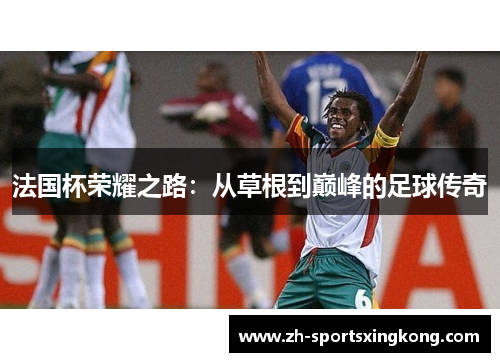 法国杯荣耀之路：从草根到巅峰的足球传奇