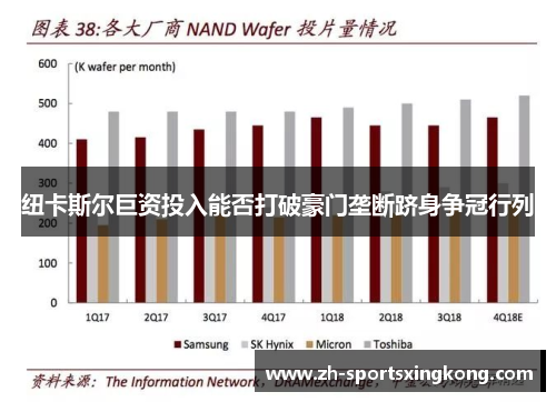 纽卡斯尔巨资投入能否打破豪门垄断跻身争冠行列